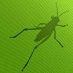 Grasshopper Manual