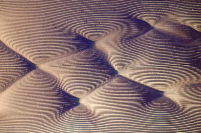 Parametric Ceiling Studio Archiologics